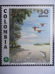 Stamps Colombia -  Río Magdalena