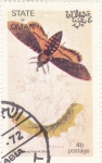 Stamps Oman -  Metamorfosis