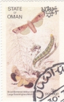 Stamps : Asia : Oman :  Metamorfosis