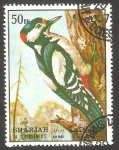 Stamps United Arab Emirates -  Sharjah - Pájaro