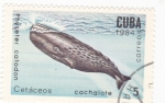 Stamps Cuba -  Cetáceos -cachalote