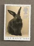 Stamps : Europe : United_Kingdom :  Protección animales domésticos