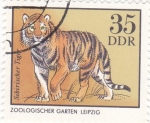 Stamps Germany -  Zoologico Leipzig tigre