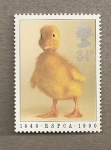 Stamps United Kingdom -  Protección animales domésticos
