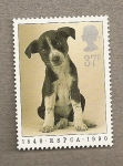 Stamps United Kingdom -  Protección animales domésticos