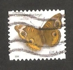 Sellos de America - Estados Unidos -  Mariposa common buckeye