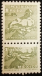 Stamps America - Mexico -  Servicio Militar Mexicano