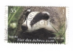 Stamps Germany -  Tejón, animal del año 2010