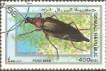 Stamps Somalia -  INSECTOS.  STRANGALIA  THORACIDA.