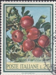 Stamps Italy -  manzanas