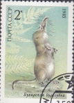 Stamps Russia -  protecion animal