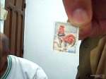 Stamps France -  gallo