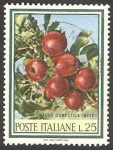 Sellos de Europa - Italia -  989 - Manzanas
