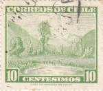 Stamps Chile -  Valle del rio Maule