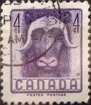 Stamps Canada -  Intercambio cxrf2 0,20 usd 4 cent 1955