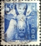 Stamps Canada -  Intercambio cxrf2 0,20 usd 5 cent 1956