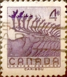 Stamps Canada -  Intercambio cxrf2 0,20 usd 4 cent 1956