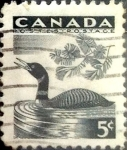 Stamps Canada -  Intercambio 0,20 usd 5 cent 1957