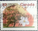 Stamps Canada -  Intercambio 0,40 usd 52 cent 1995