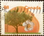 Stamps Canada -  Intercambio 0,55 usd 88 cent 1994