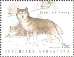 Stamps Argentina -  PERROS.  HUSKY  SIBERIANO.