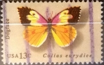 Sellos de America - Estados Unidos -  1162 - Mariposa colias eurydice