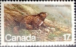 Stamps Canada -  Intercambio cr3f 0,20 usd 17 cent 1981