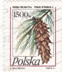 Stamps Poland -  piña