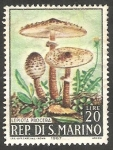 Stamps San Marino -  Champiñón lepiota procera