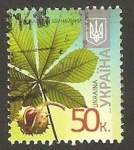 Stamps : Europe : Ukraine :  Milésima 2013 II - Flor aesculus hippocastanum