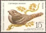 Stamps Russia -  AVES.  CAPRIMULGUS  EUROPAEUS.