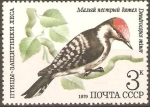 Stamps Russia -  AVES.  DENDROCOPOS  MINOR.