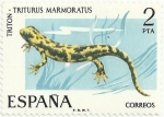 Stamps Spain -  TRITÓN JASPEADO. Triturus Marmoratus. EDIFIL 2273