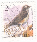 Stamps Belgium -  Ave