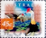 Stamps Australia -  Intercambio 0,50 usd 45 cents. 1996