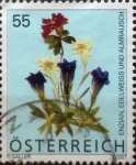 Stamps Austria -  Intercambio 1,60 usd 55 cents. 2007