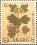 Stamps Austria -  Intercambio 1,90 usd 65 cents. 2007