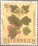 Sellos de Europa - Austria -  Intercambio 1,90 usd 65 cents. 2007