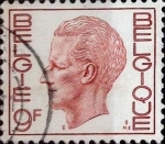 Sellos de Europa - Blgica -  Intercambio 0,20 usd 9 francos 1980