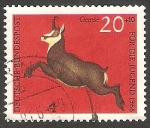 Stamps Germany -  365 - Antílope