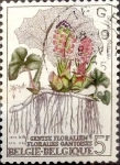 Stamps Belgium -  Intercambio nfxb 0,20 usd 5 francos 1975