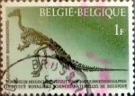 Stamps Belgium -  Intercambio 0,20 usd 1 franco 1963