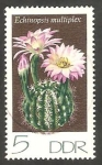 Stamps Germany -  1602 - Cactus