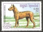 Stamps Cambodia -  Kampuchea - Perro de raza