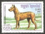 Sellos de Asia - Camboya -  Kampuchea - Perro de raza