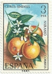 Stamps : Europe : Spain :  FLORA GRUPO IV. NARANJO. Citrus Sinensis. EDIFIL 2256