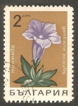 Stamps : Europe : Bulgaria :  Flor  gentiana acaulis 