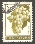 Sellos de Europa - Bulgaria -  Racimo de uvas