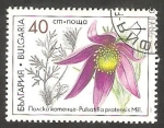 Sellos de Europa - Bulgaria -  3419 - Planta medicinal pulsatilla pratensis