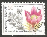 Sellos de Europa - Bulgaria -  3420 - Planta medicinal pulsatilla halleri 